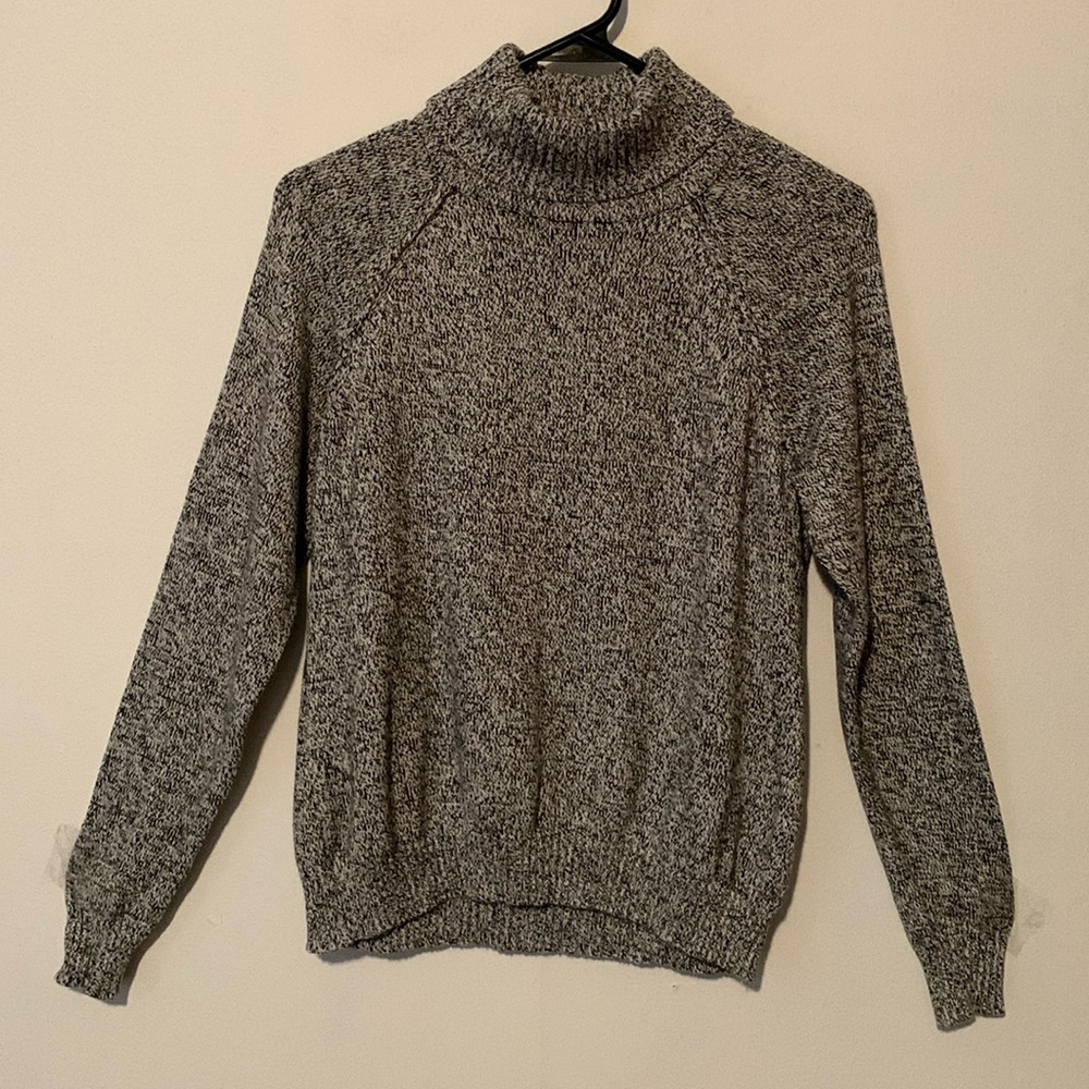 Karen Scott Turtleneck Sweater